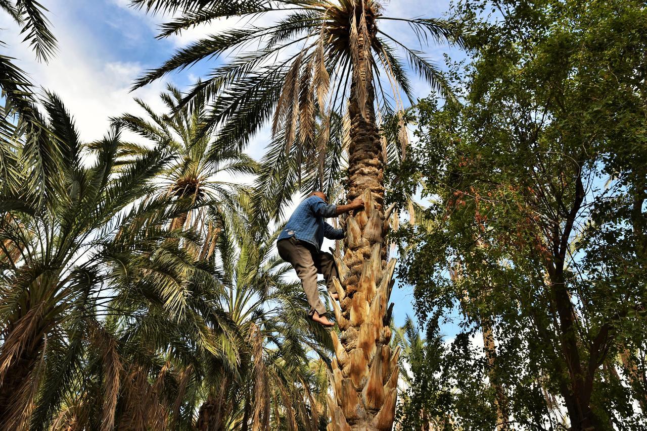トズル Dar Ezzahraヴィラ エクステリア 写真