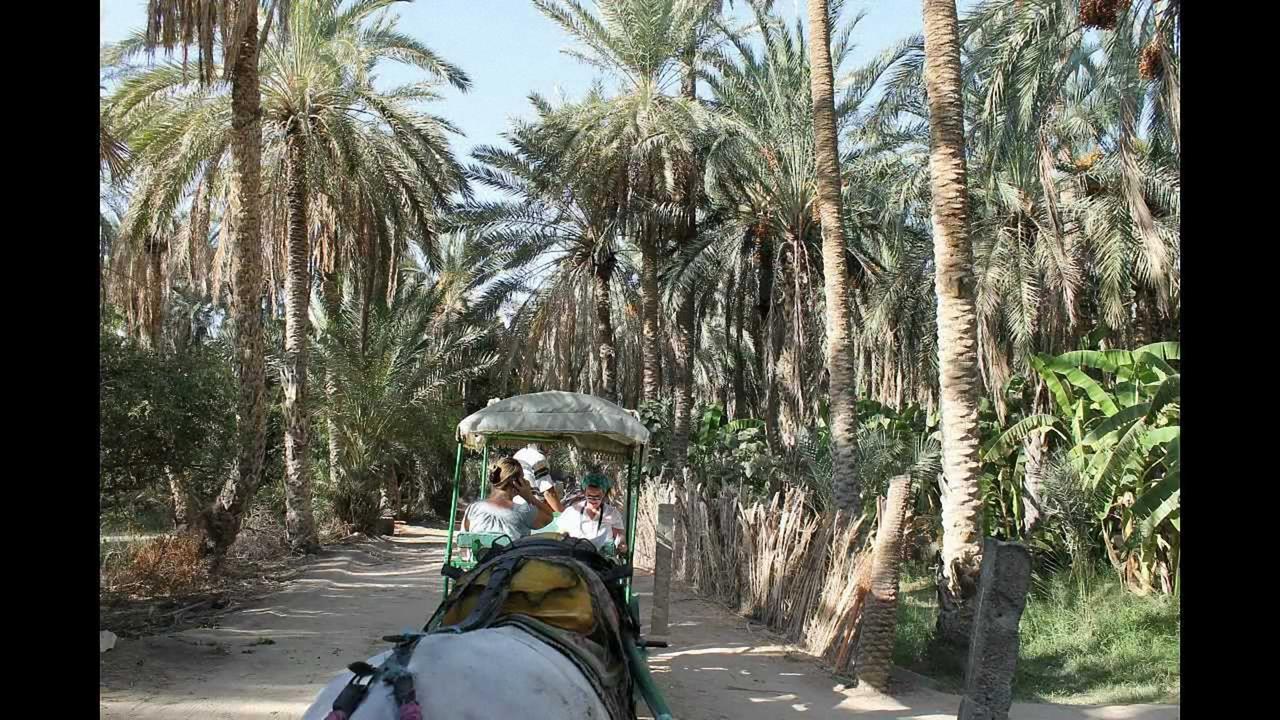 トズル Dar Ezzahraヴィラ エクステリア 写真